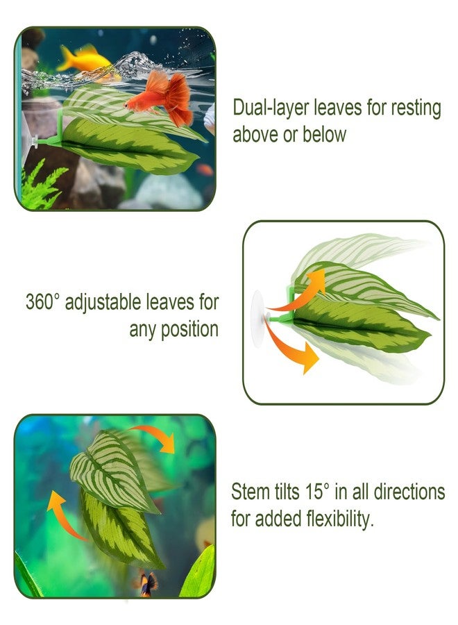 EQUNROY 5PCS Betta Hammock & Fish Toys Set, Soft Aquarium Plants & Black Tunnel Hideout for Betta Fish Tank, Safe Decor with Suction Cups for Shrimp, SmallFish - Image 3